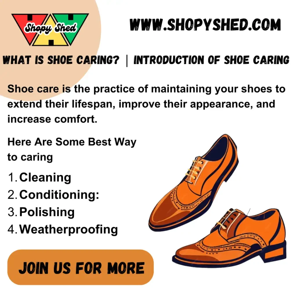 The ultimate shoe-caring guide and tips for all types of shoes in 2024 | Shopyshed 2 Shoe care tips